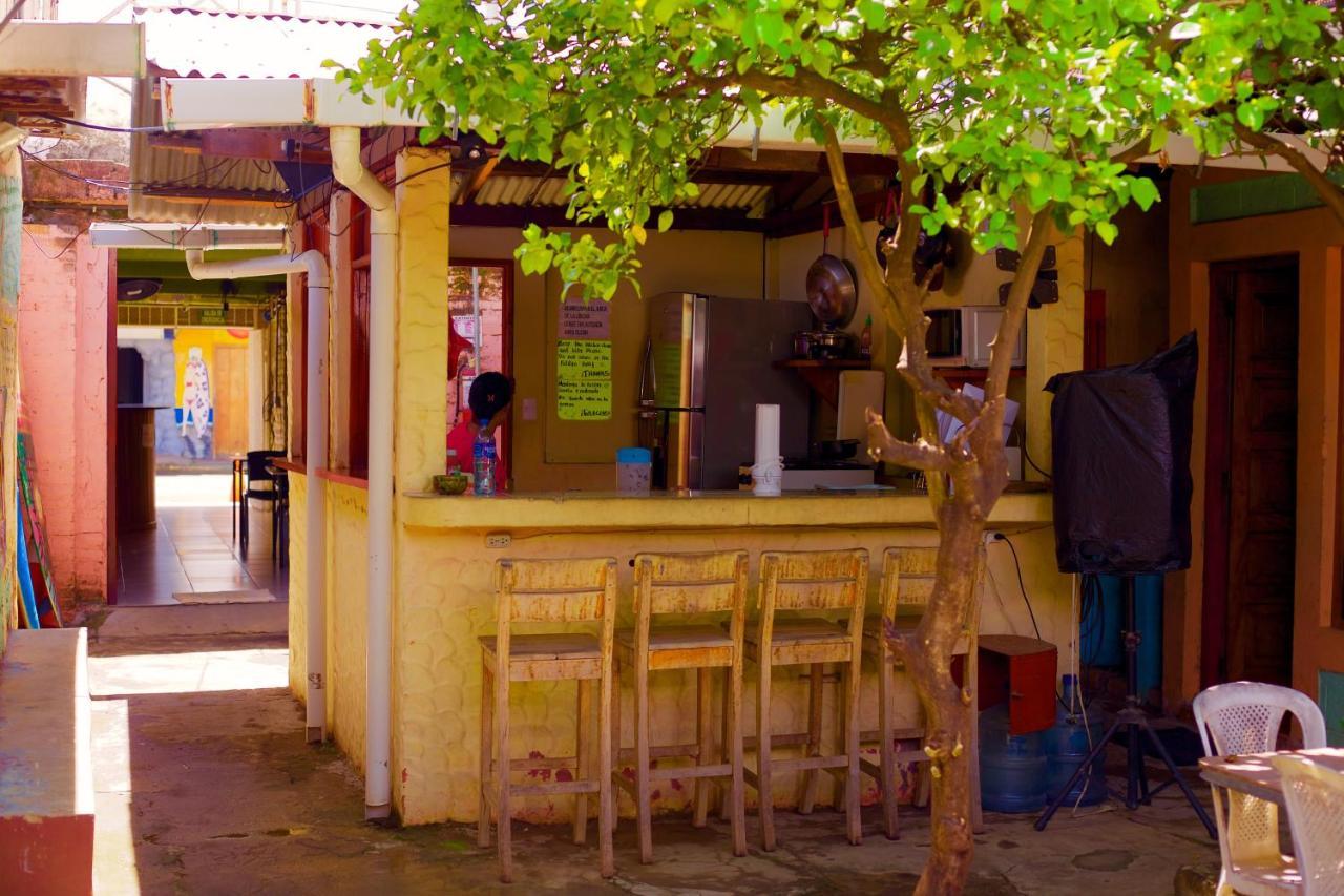 סן חואן דל סור Hostal Los Chamos מראה חיצוני תמונה