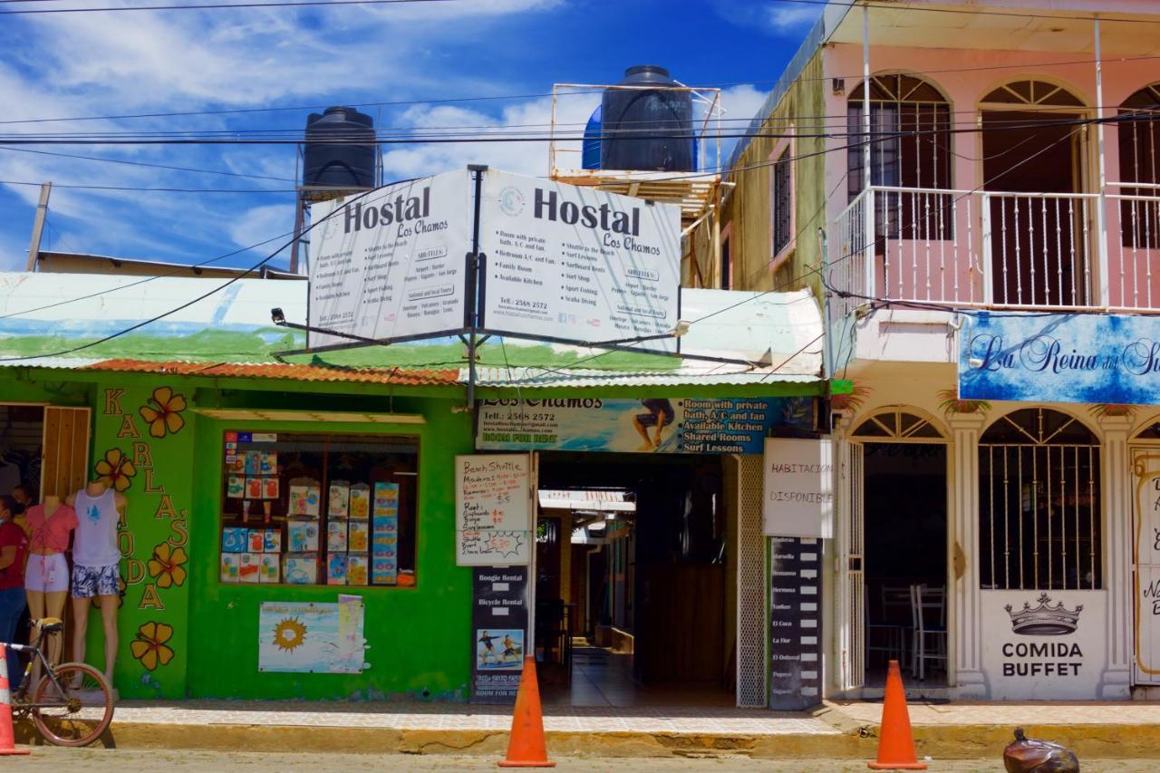 סן חואן דל סור Hostal Los Chamos מראה חיצוני תמונה