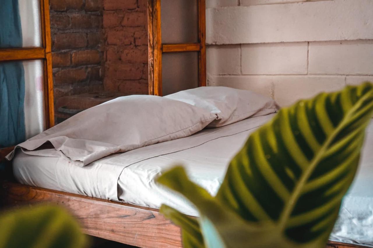 סן חואן דל סור Hostal Los Chamos מראה חיצוני תמונה