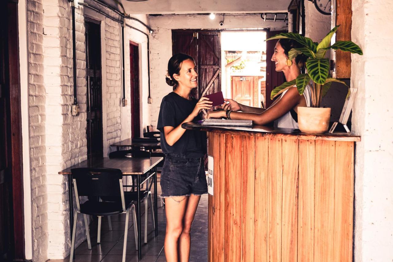 סן חואן דל סור Hostal Los Chamos מראה חיצוני תמונה