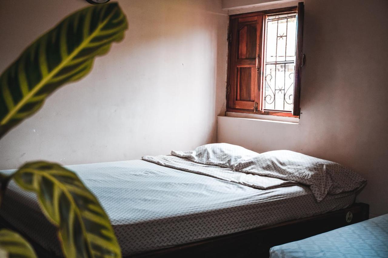 סן חואן דל סור Hostal Los Chamos מראה חיצוני תמונה