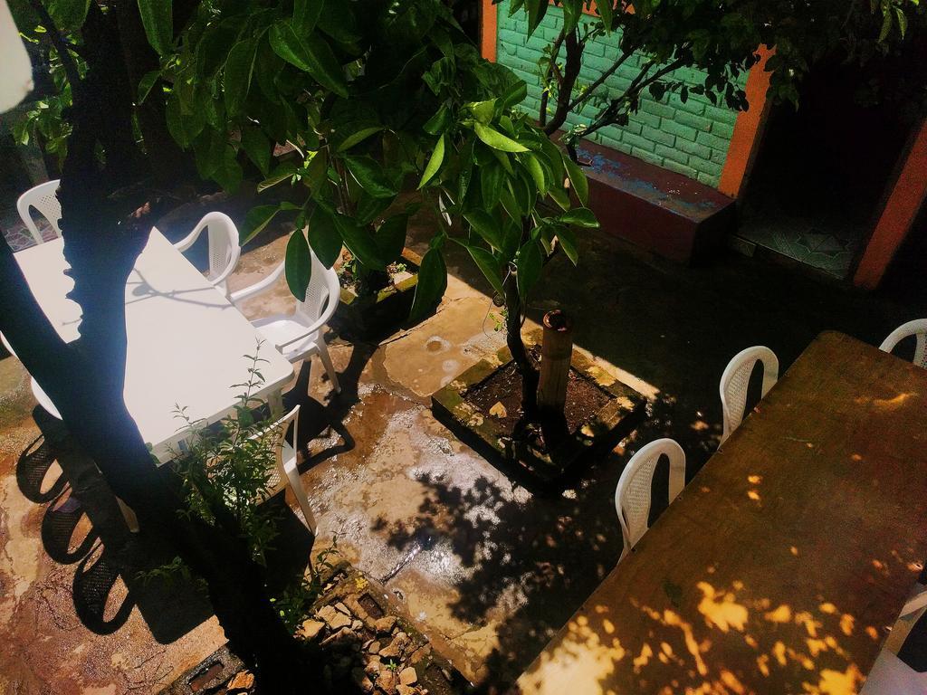 סן חואן דל סור Hostal Los Chamos מראה חיצוני תמונה