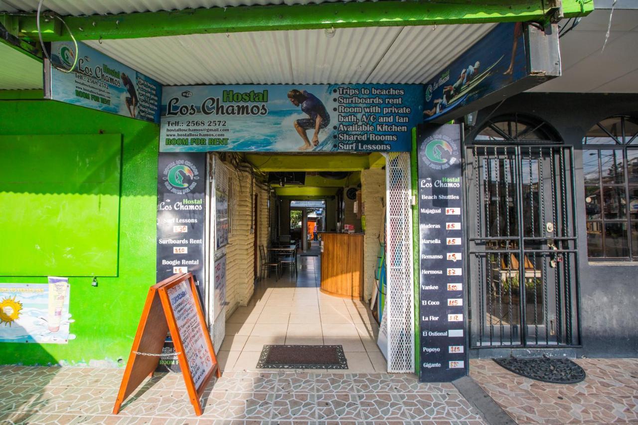 סן חואן דל סור Hostal Los Chamos מראה חיצוני תמונה